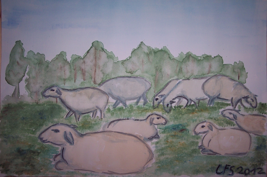 Bild des Aquarellbildes:Schafe auf der Weide